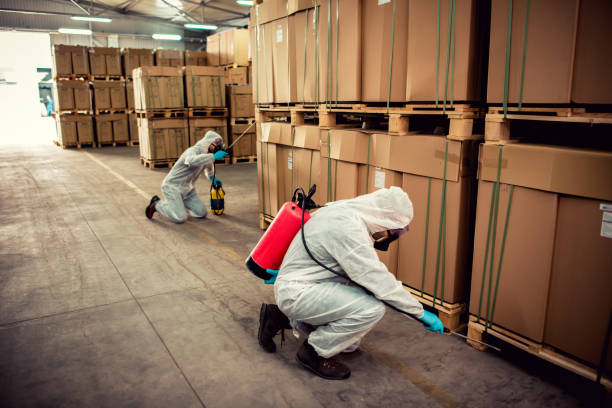 Best Flea Control Services  in Lambertville, MI