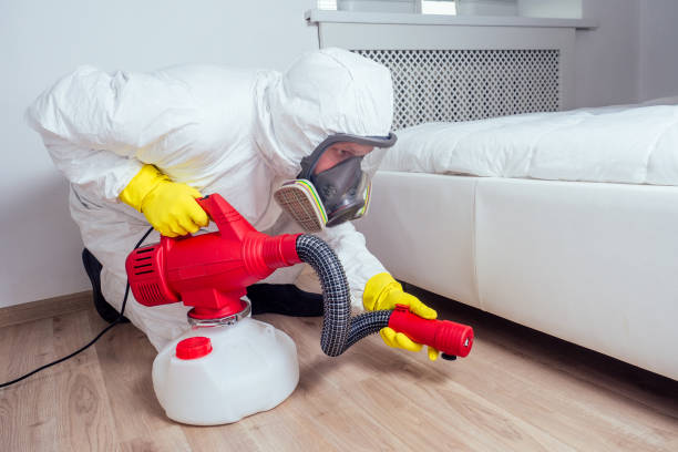 Best Affordable Pest Control Services  in Lambertville, MI