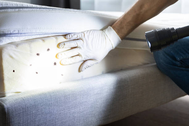 Best Affordable Pest Control Services  in Lambertville, MI
