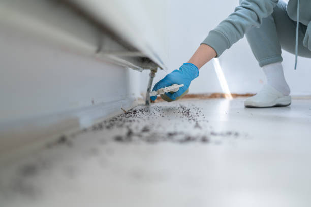 Best Best Pest Control Companies  in Lambertville, MI